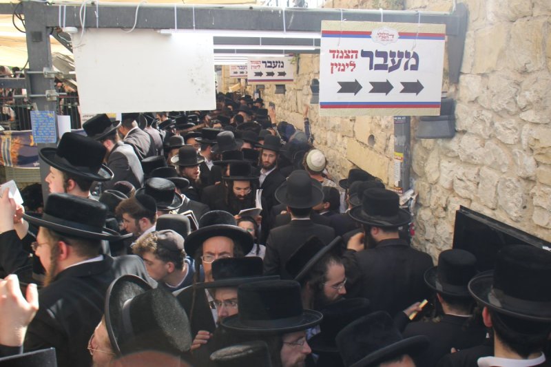 מ. אדלר