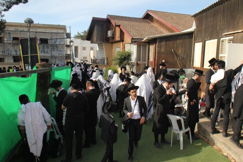 מ. אדלר