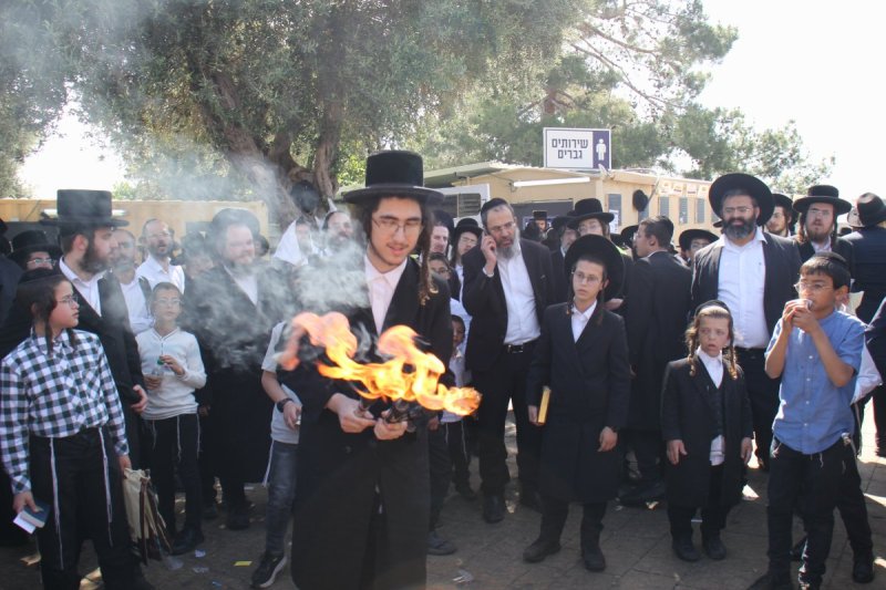 מ. אדלר