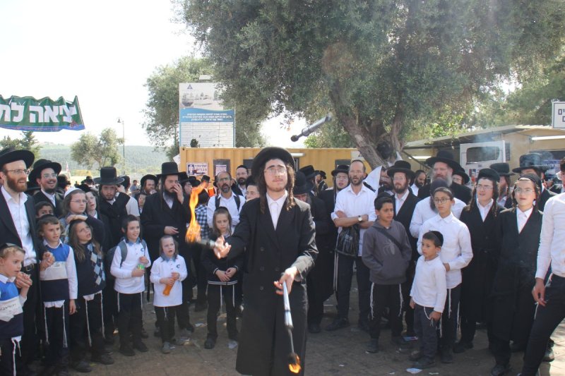 מ. אדלר