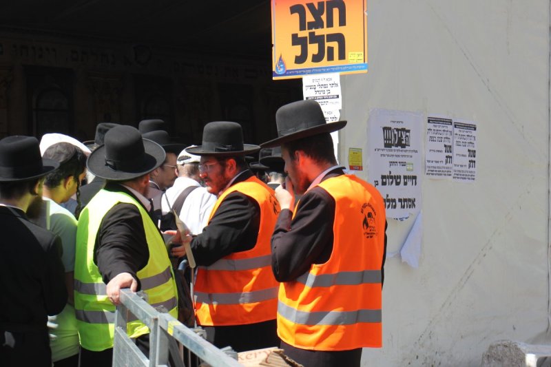 מ. אדלר