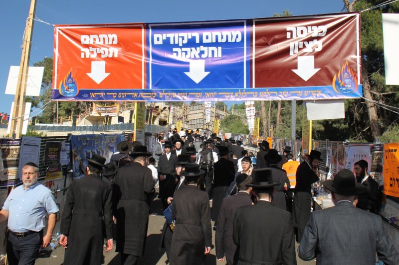 מ. אדלר