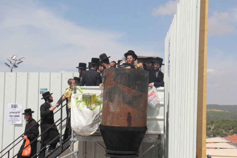 מ. אדלר