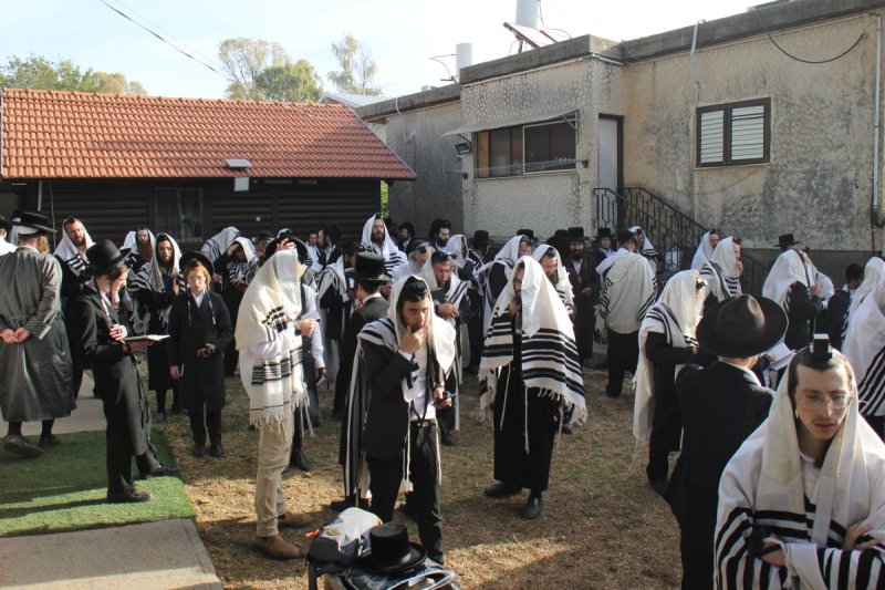 מ. אדלר