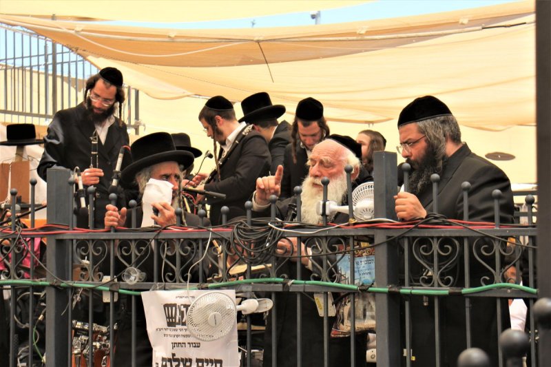 מ. אדלר