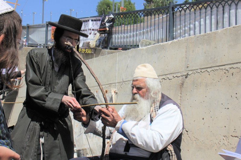 מ. אדלר