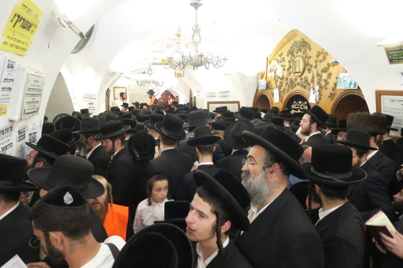מ. אדלר