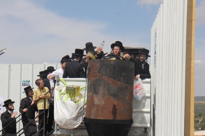 מ. אדלר