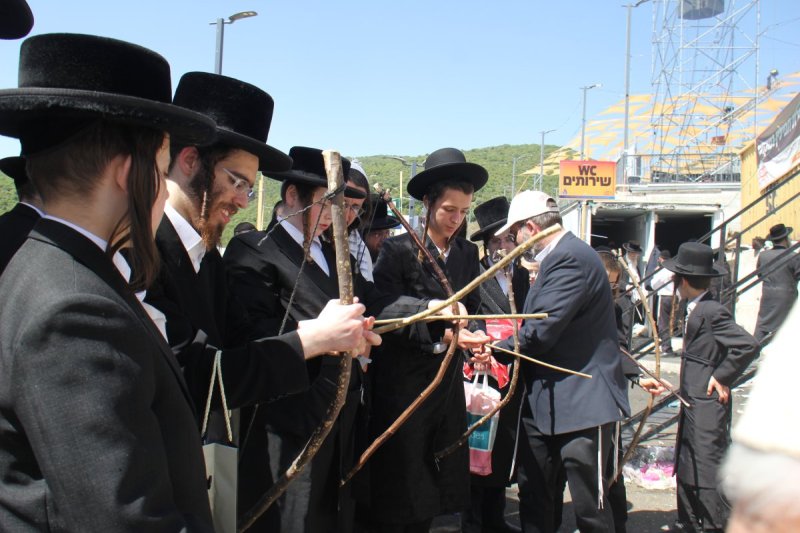 מ. אדלר