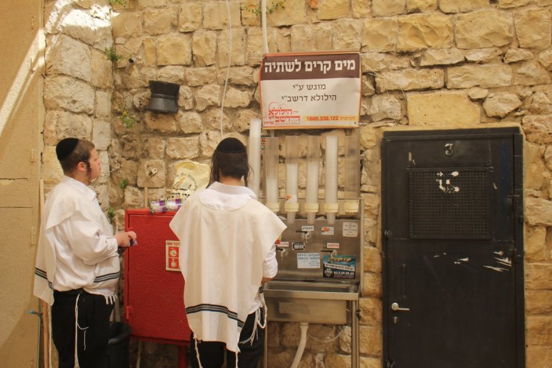 מ. אדלר