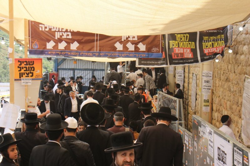 מ. אדלר