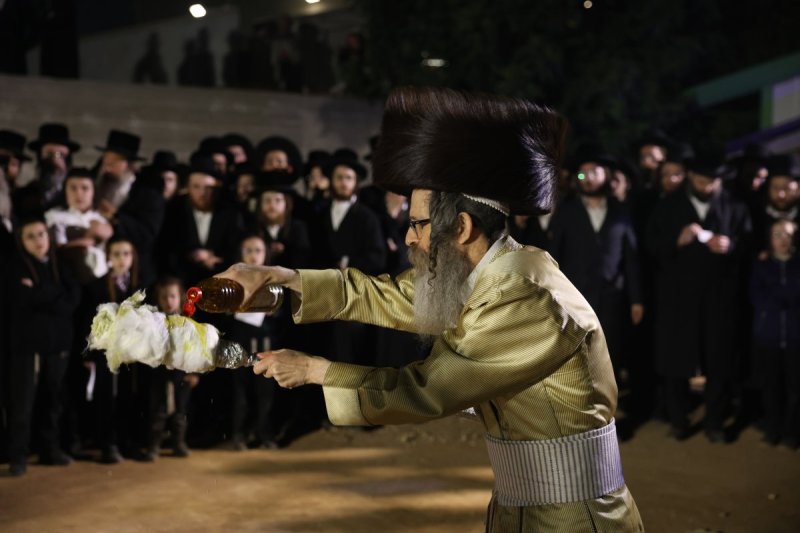 דוד כהן