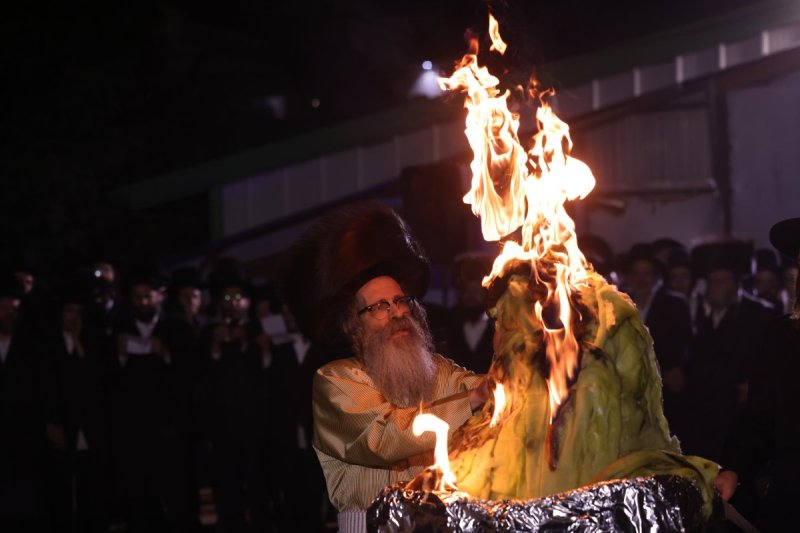 דוד כהן