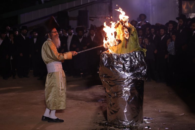 דוד כהן