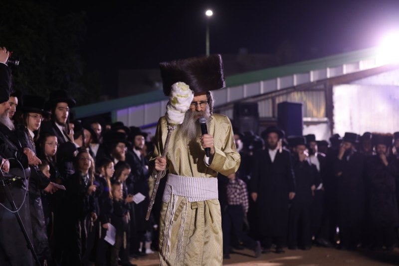 דוד כהן
