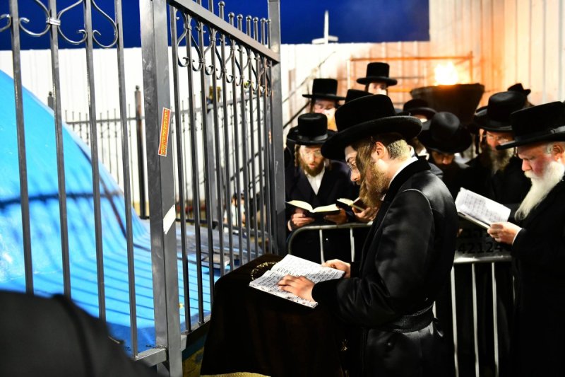 שוקי לרר