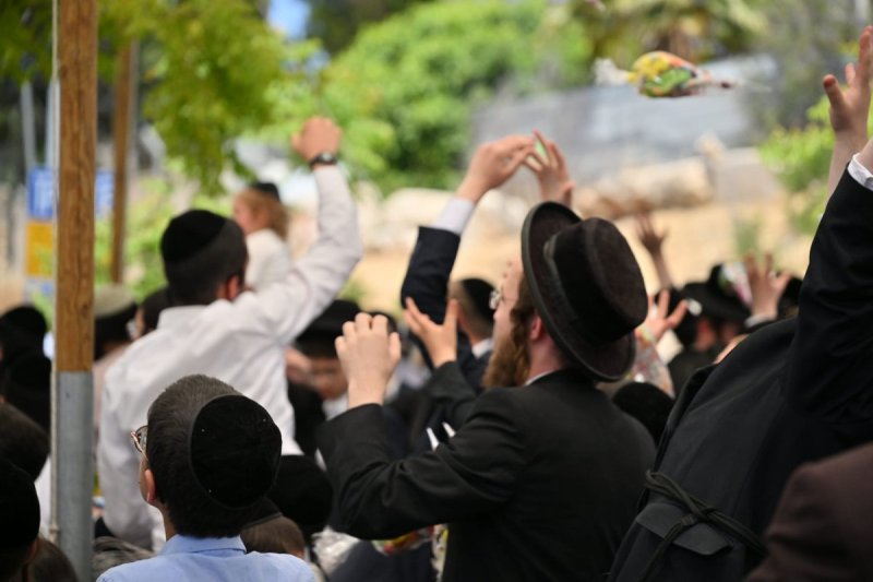 יהושע פרוכטר