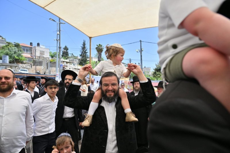 יהושע פרוכטר