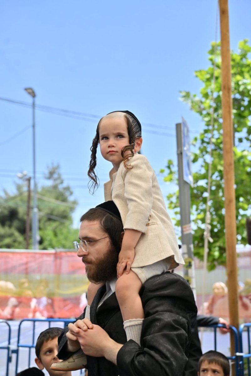 יהושע פרוכטר