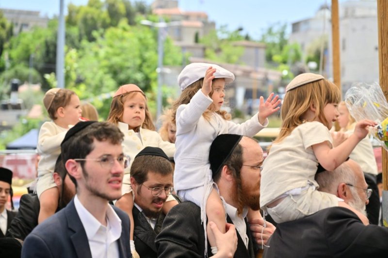 יהושע פרוכטר