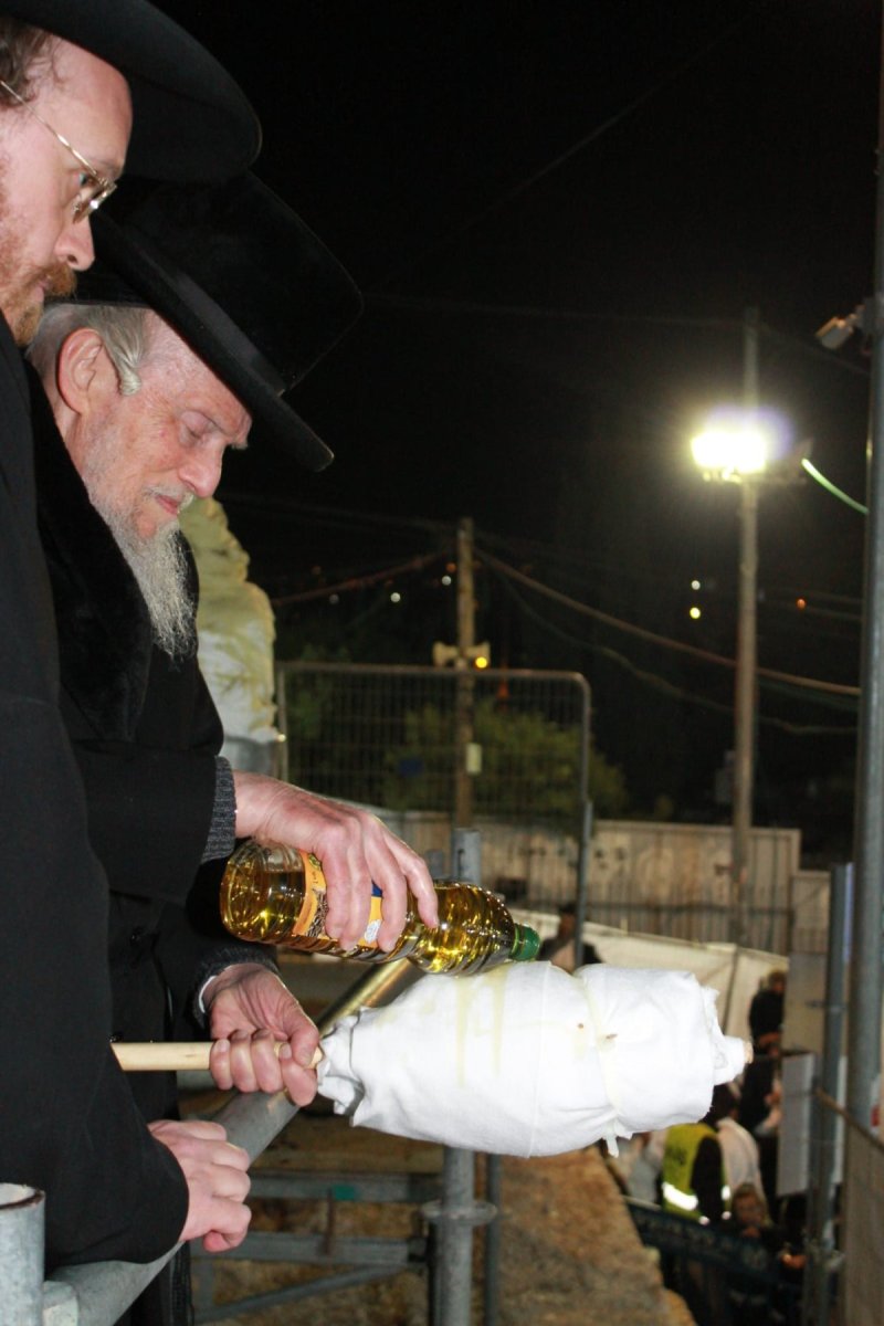יהושע פרוכטר