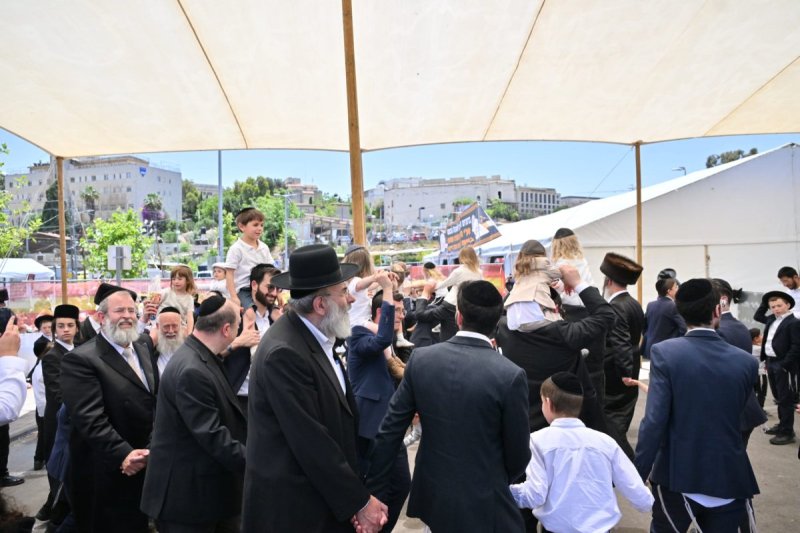 יהושע פרוכטר