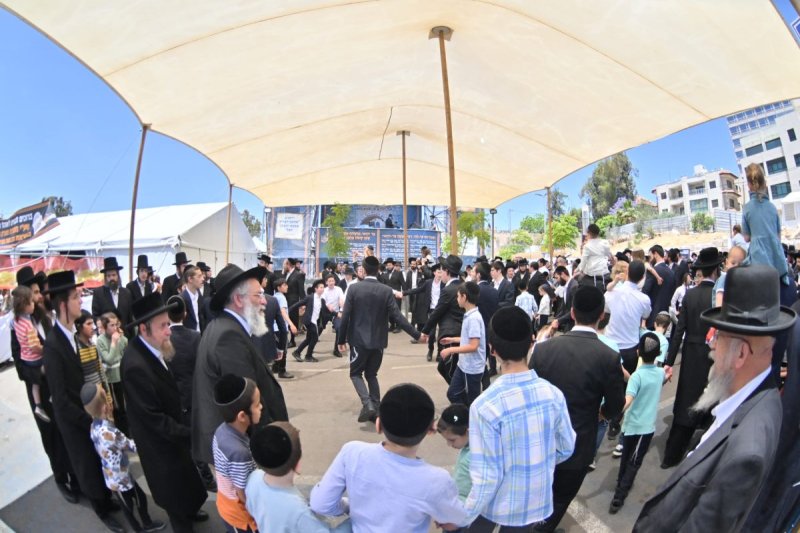 יהושע פרוכטר