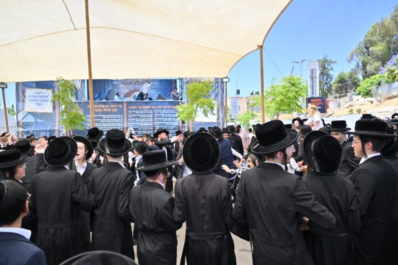 יהושע פרוכטר