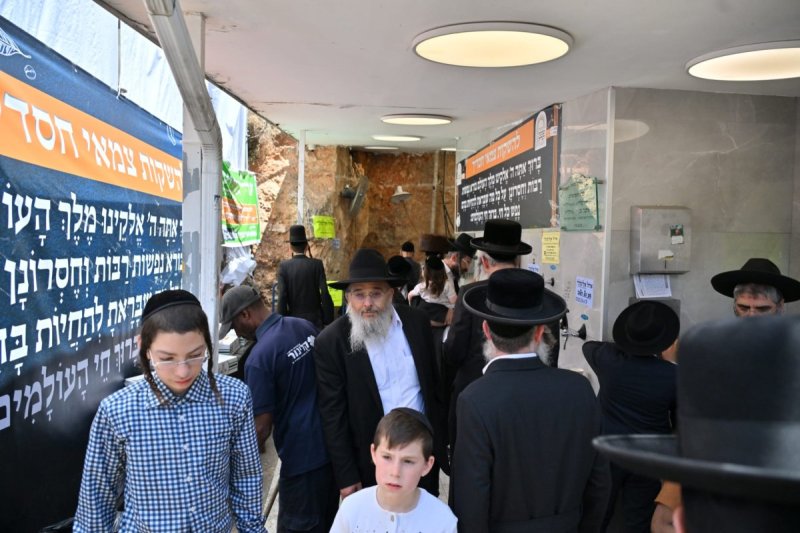 יהושע פרוכטר