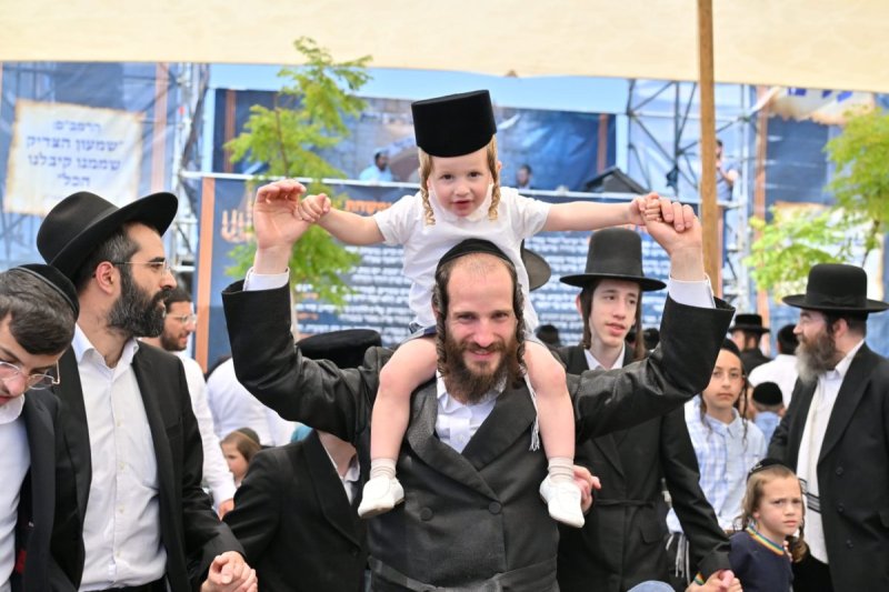 יהושע פרוכטר