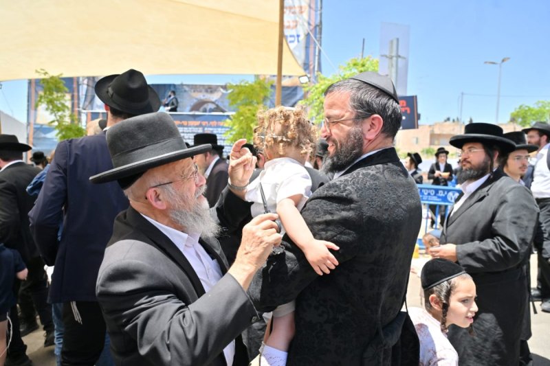 יהושע פרוכטר
