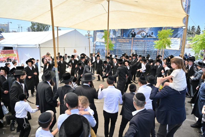 יהושע פרוכטר