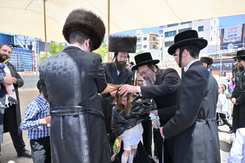 יהושע פרוכטר