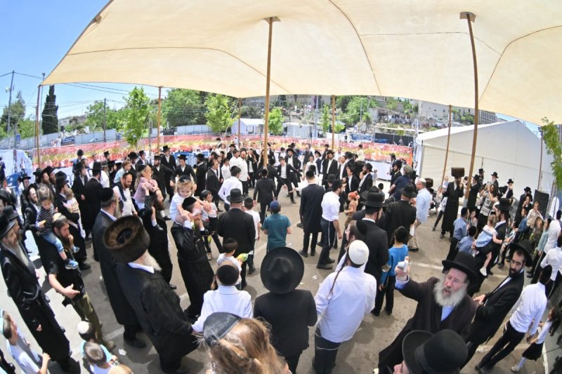 יהושע פרוכטר