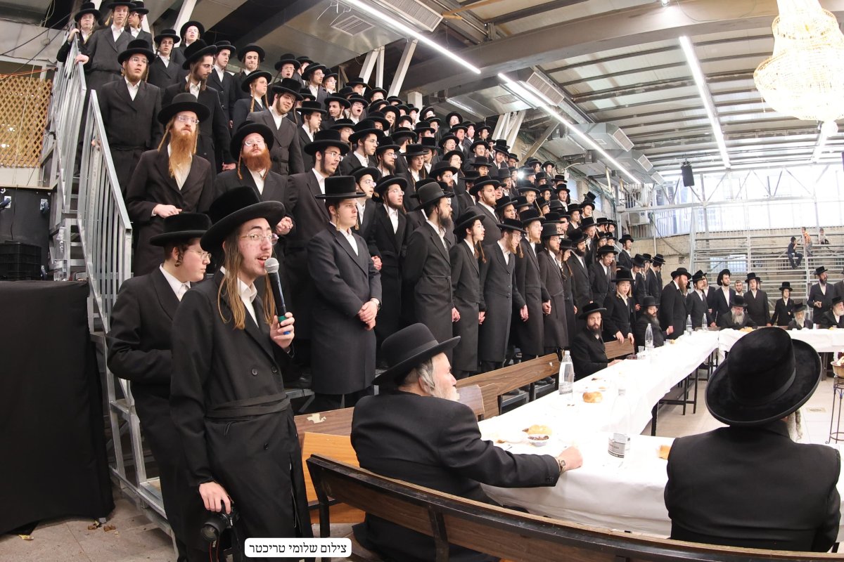 שלומי טריכטר