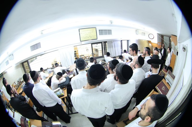 שלומי טריכטר