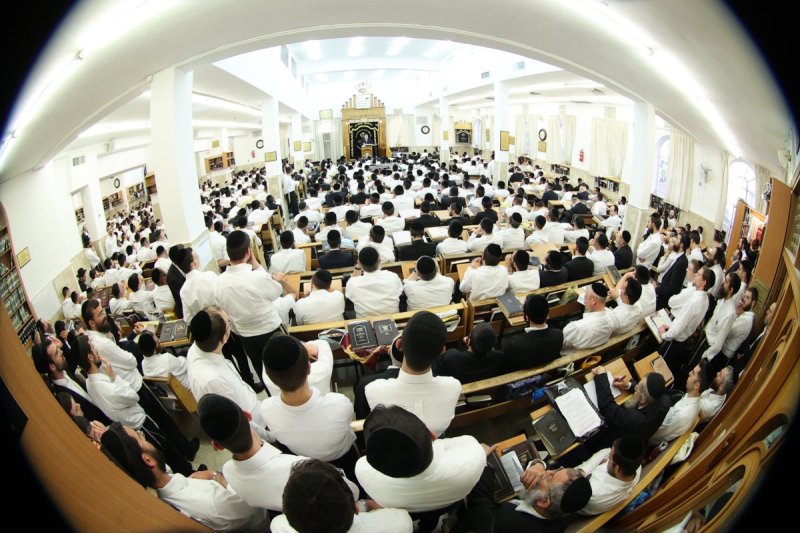 שלומי טריכטר