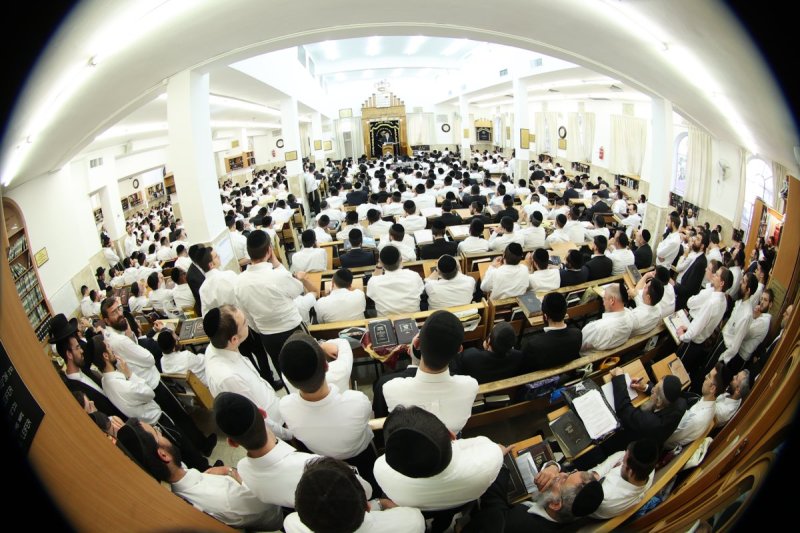 שלומי טריכטר