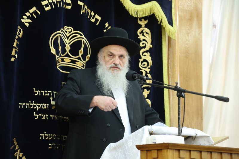 שלומי טריכטר