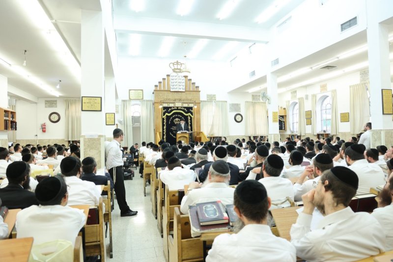 שלומי טריכטר