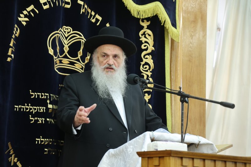 שלומי טריכטר