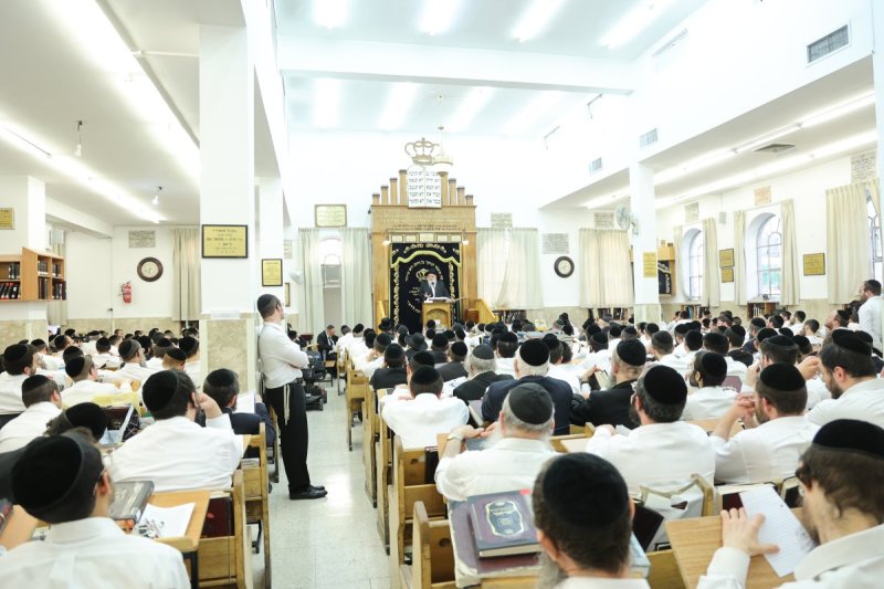 שלומי טריכטר