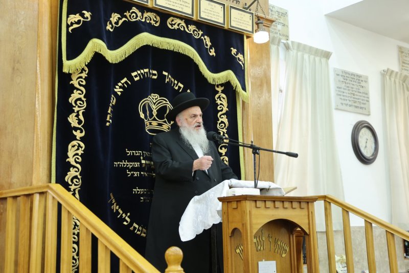 שלומי טריכטר