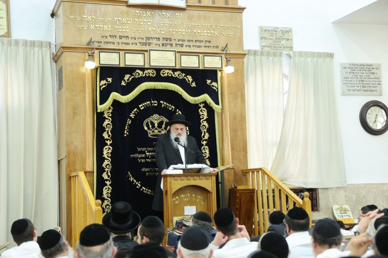 שלומי טריכטר