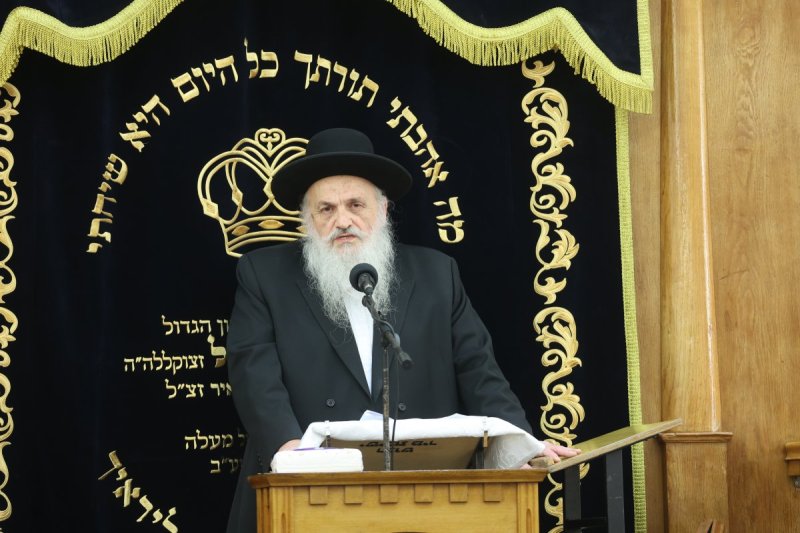שלומי טריכטר