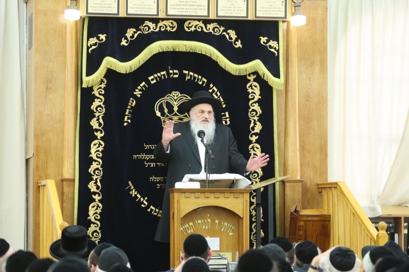 שלומי טריכטר