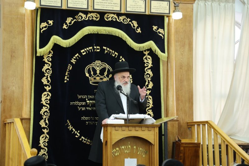 שלומי טריכטר