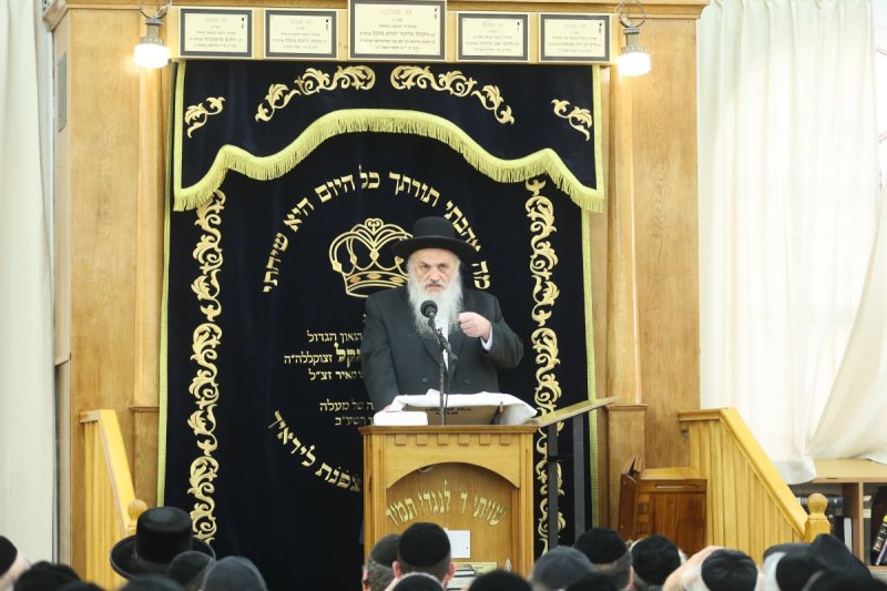 שלומי טריכטר