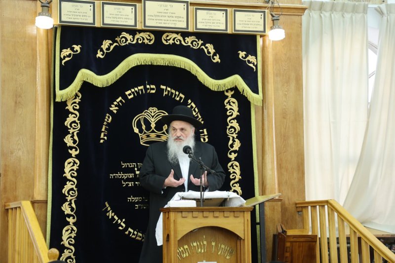 שלומי טריכטר