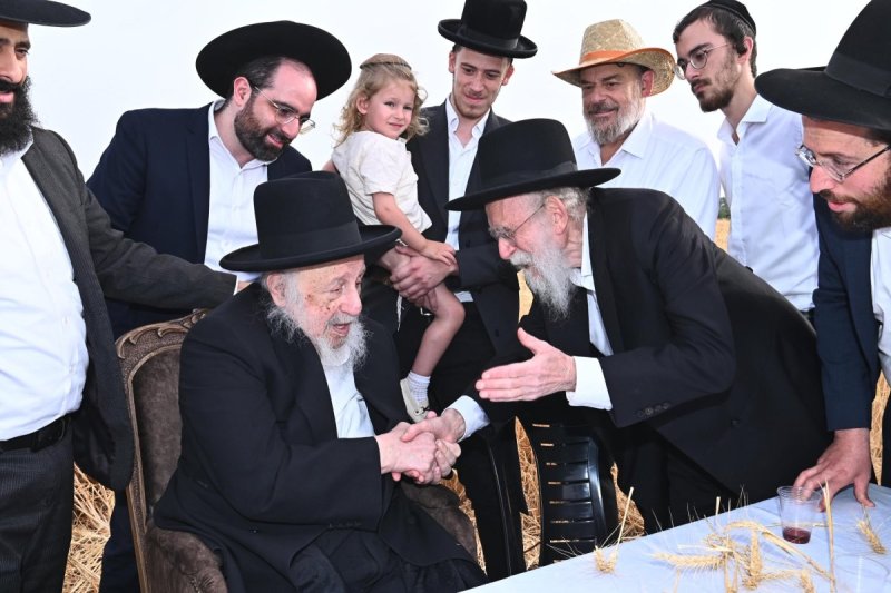 שוקי לרר